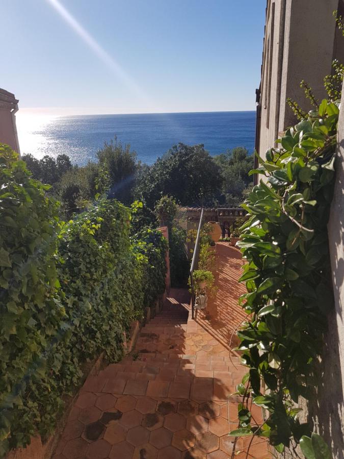 Bed And Breakfast Tenuta Palmieri Only Adult Маратеа Екстериор снимка